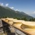 Consorzio Formaggi Alpeggio