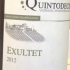 Exultet-2012.jpg