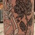 La Lupinella La Lupinella Rosa 2019