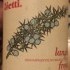 vietti langhe freisa vivace vino spumante piemonte