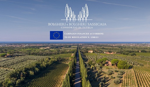 Bolgheri Divino