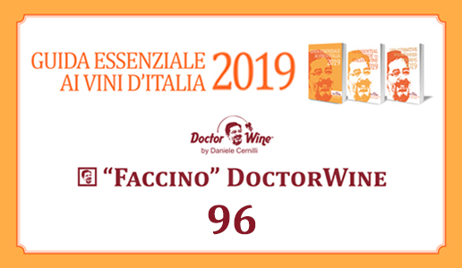 Faccino 96/100 DoctorWine 2019