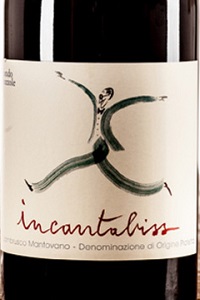 Fondo Bozzole Lambrusco Mantovano Incantabiss 2019