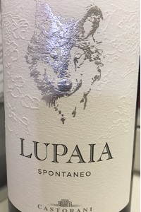 Castorani Lupaia Spontaneo 2019