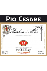 pio cesare barbera d alba etichetta doctorwine