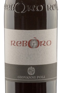 Giovanni Poli Reboro 2013